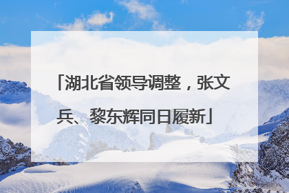 湖北省领导调整，张文兵、黎东辉同日履新