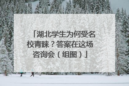 湖北学生为何受名校青睐？答案在这场咨询会（组图）