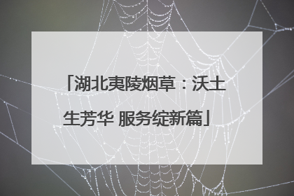 湖北夷陵烟草：沃土生芳华 服务绽新篇
