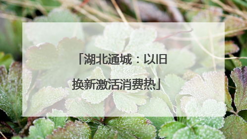 湖北通城：以旧换新激活消费热