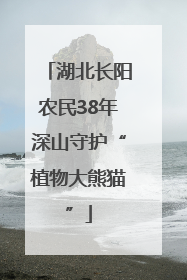 湖北长阳农民38年深山守护“植物大熊猫”
