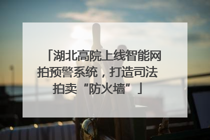湖北高院上线智能网拍预警系统，打造司法拍卖“防火墙”
