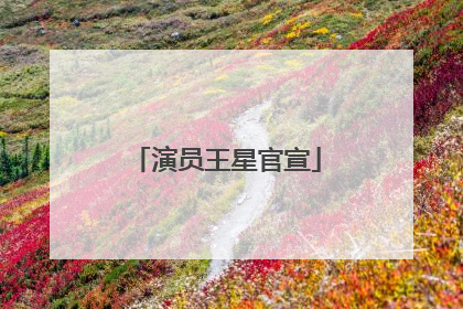演员王星官宣