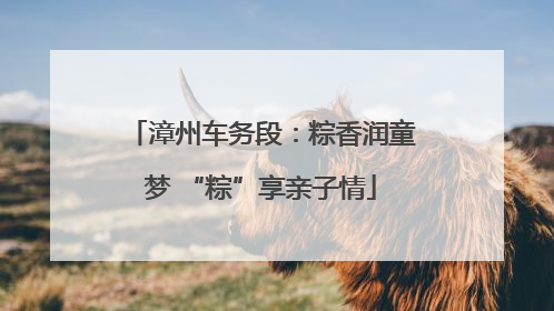 漳州车务段：粽香润童梦 “粽”享亲子情