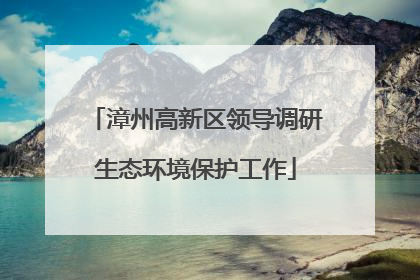 漳州高新区领导调研生态环境保护工作