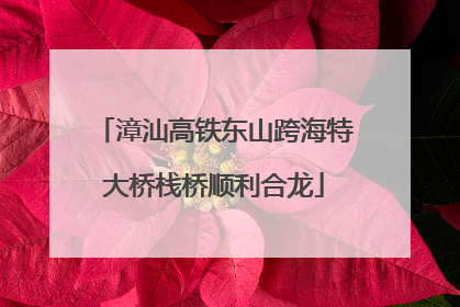 漳汕高铁东山跨海特大桥栈桥顺利合龙
