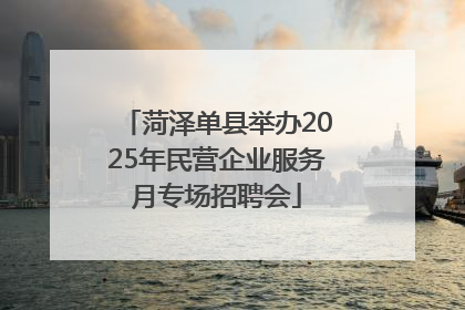 菏泽单县举办2025年民营企业服务月专场招聘会