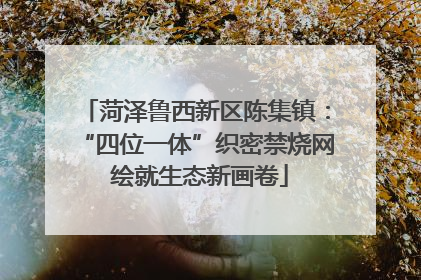 菏泽鲁西新区陈集镇：“四位一体”织密禁烧网 绘就生态新画卷