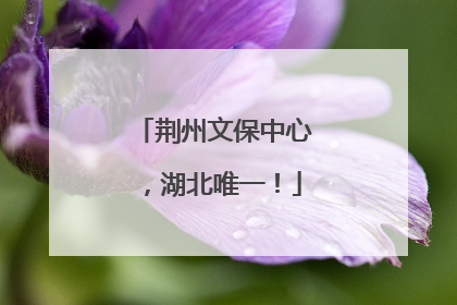 荆州文保中心，湖北唯一！