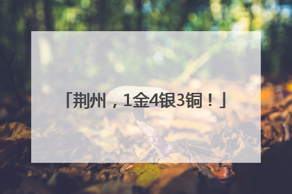 荆州，1金4银3铜！