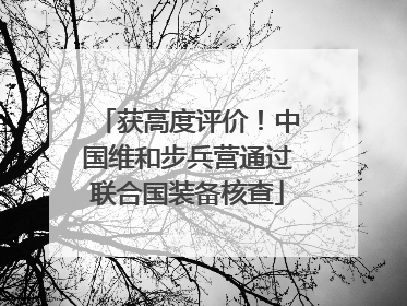 获高度评价！中国维和步兵营通过联合国装备核查