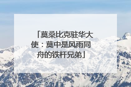 莫桑比克驻华大使：莫中是风雨同舟的铁杆兄弟