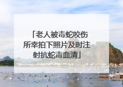 老人被毒蛇咬伤 所幸拍下照片及时注射抗蛇毒血清