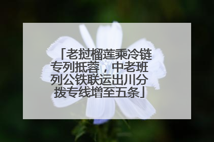 老挝榴莲乘冷链专列抵蓉，中老班列公铁联运出川分拨专线增至五条