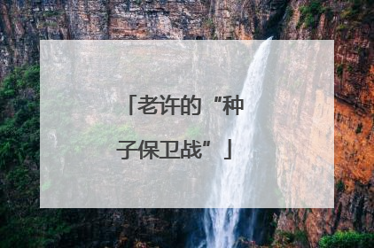 老许的“种子保卫战”