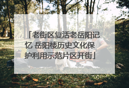 老街区复活老岳阳记忆 岳阳楼历史文化保护利用示范片区开街