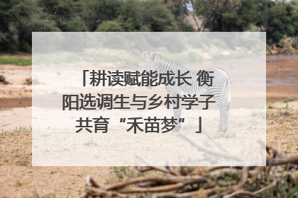 耕读赋能成长 衡阳选调生与乡村学子共育“禾苗梦”