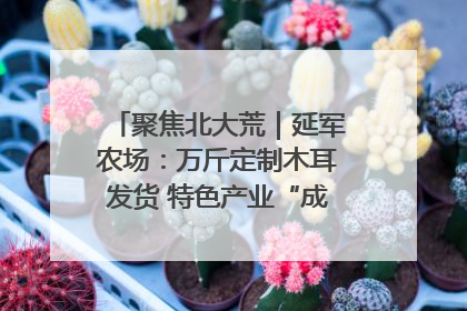 聚焦北大荒｜延军农场：万斤定制木耳发货 特色产业“成绩单”亮眼