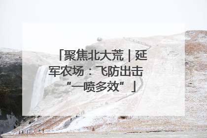 聚焦北大荒｜延军农场：飞防出击 “一喷多效”