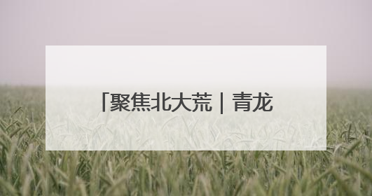 聚焦北大荒｜青龙山农场有限公司：基层民兵参与农业环境综合治理显效