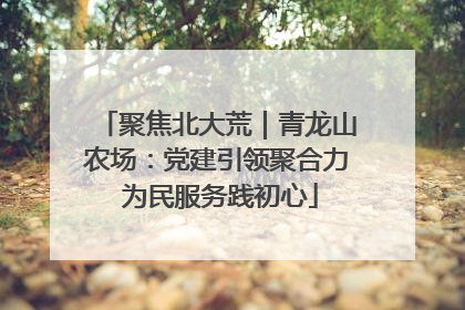 聚焦北大荒｜青龙山农场：党建引领聚合力 为民服务践初心