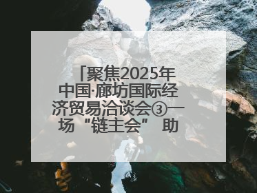 聚焦2025年中国·廊坊国际经济贸易洽谈会③一场“链主会” 助力厂商破圈发展
