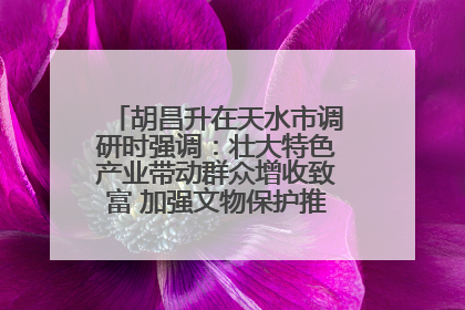 胡昌升在天水市调研时强调：壮大特色产业带动群众增收致富 加强文物保护推动文化创新发展