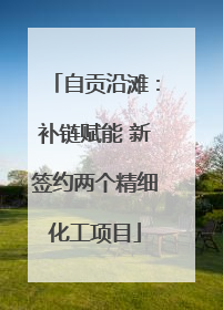 自贡沿滩：补链赋能 新签约两个精细化工项目