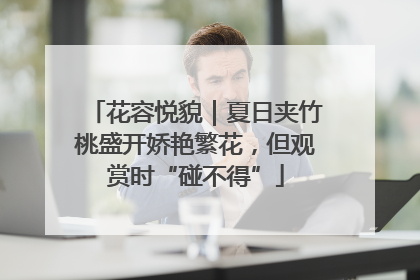 花容悦貌｜夏日夹竹桃盛开娇艳繁花，但观赏时“碰不得”