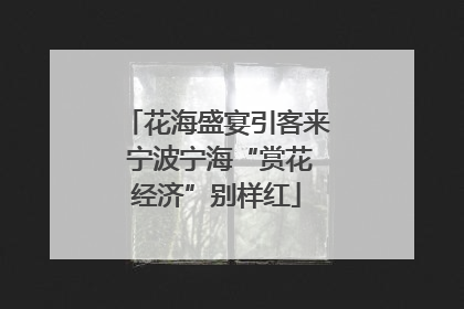花海盛宴引客来 宁波宁海“赏花经济”别样红