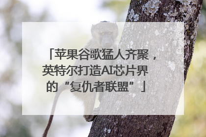 苹果谷歌猛人齐聚，英特尔打造AI芯片界的“复仇者联盟”