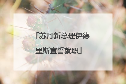 苏丹新总理伊德里斯宣誓就职