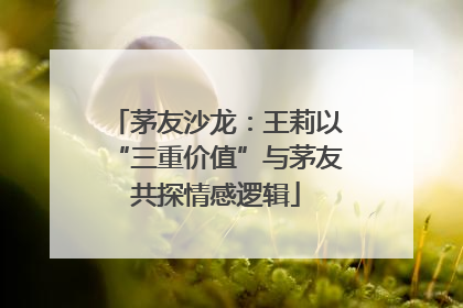 茅友沙龙：王莉以“三重价值”与茅友共探情感逻辑