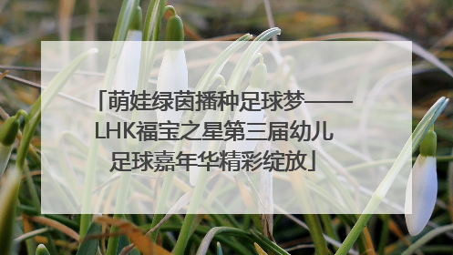 萌娃绿茵播种足球梦——LHK福宝之星第三届幼儿足球嘉年华精彩绽放