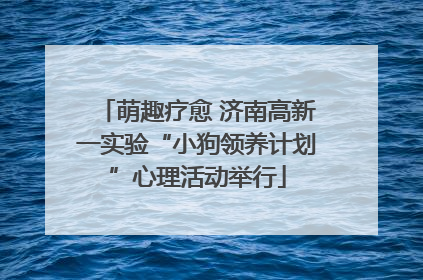 萌趣疗愈 济南高新一实验“小狗领养计划”心理活动举行