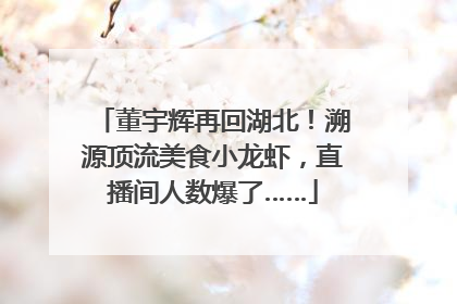 董宇辉再回湖北！溯源顶流美食小龙虾，直播间人数爆了……