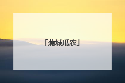蒲城瓜农