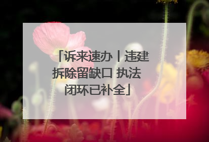 诉来速办丨违建拆除留缺口 执法闭环已补全