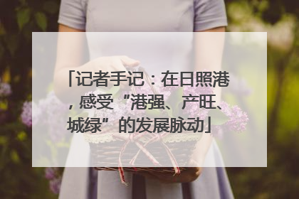 记者手记：在日照港，感受“港强、产旺、城绿”的发展脉动