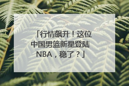 行情飙升！这位中国男篮新星登陆NBA，稳了？