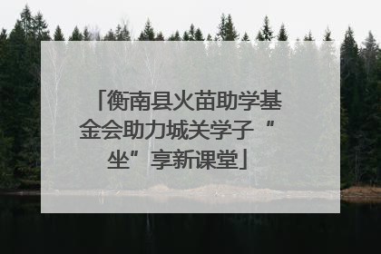 衡南县火苗助学基金会助力城关学子“坐”享新课堂