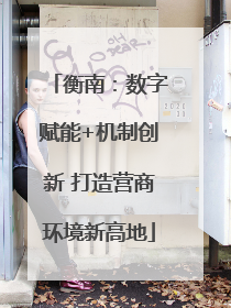 衡南：数字赋能+机制创新 打造营商环境新高地