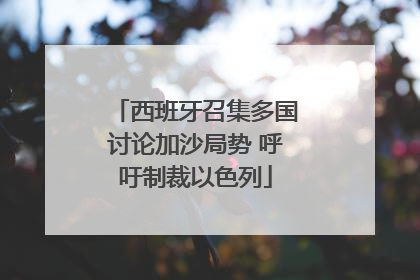 西班牙召集多国讨论加沙局势 呼吁制裁以色列