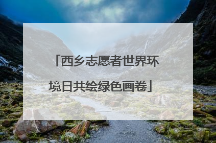 西乡志愿者世界环境日共绘绿色画卷