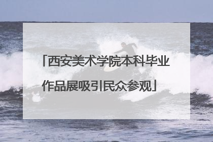 西安美术学院本科毕业作品展吸引民众参观