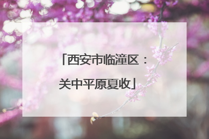 西安市临潼区：关中平原夏收