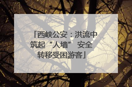 西峡公安：洪流中筑起“人墙” 安全转移受困游客