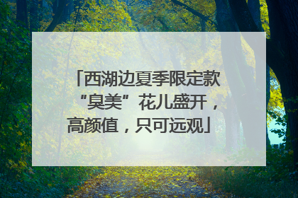 西湖边夏季限定款“臭美”花儿盛开，高颜值，只可远观
