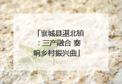 襄城县湛北镇：三产融合 奏响乡村振兴曲