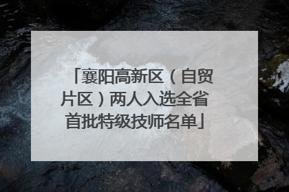 襄阳高新区（自贸片区）两人入选全省首批特级技师名单